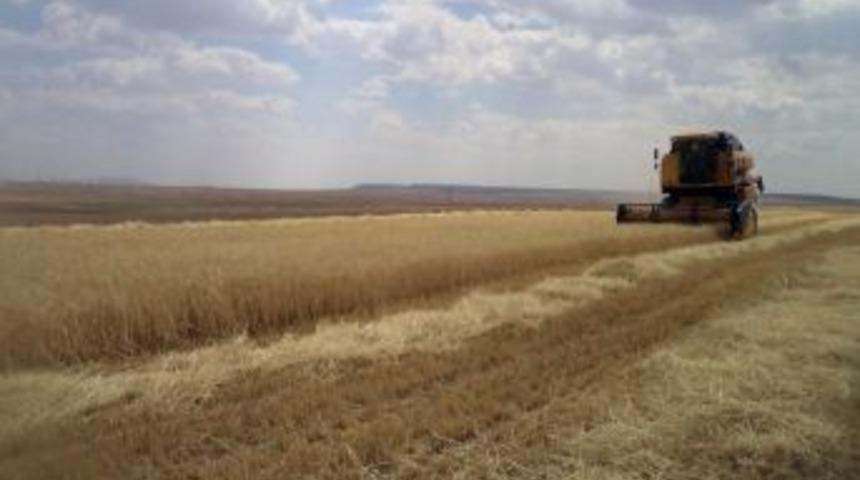 Dane Kaybı Kontrolleri Başladı