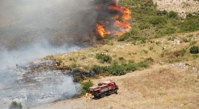 Didim’de Makilik Yangını