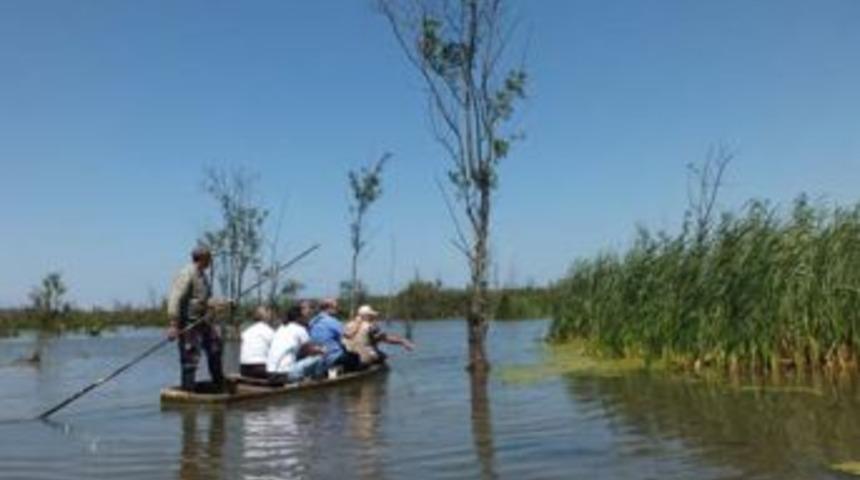 Türkiye'nin En Büyük Longozundaki Kuruyan Ağaçlar Araştırılıyor