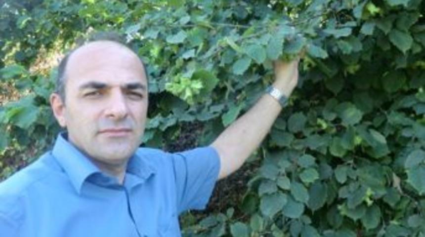 D&uuml;zce&rsquo;de 2013 Yılı Tahmini Fındık Rekoltesi Belirlendi