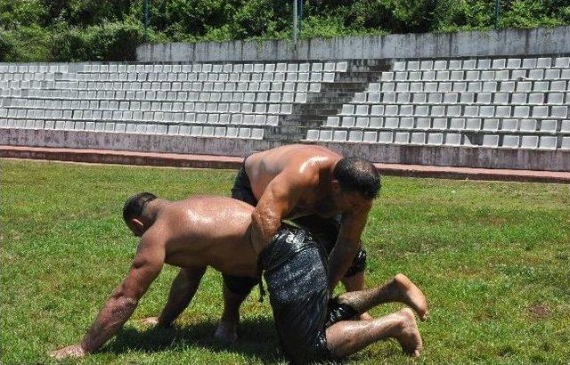 Efsane Pehlivan Taşçı, Er Meydanına Geri Dönüyor