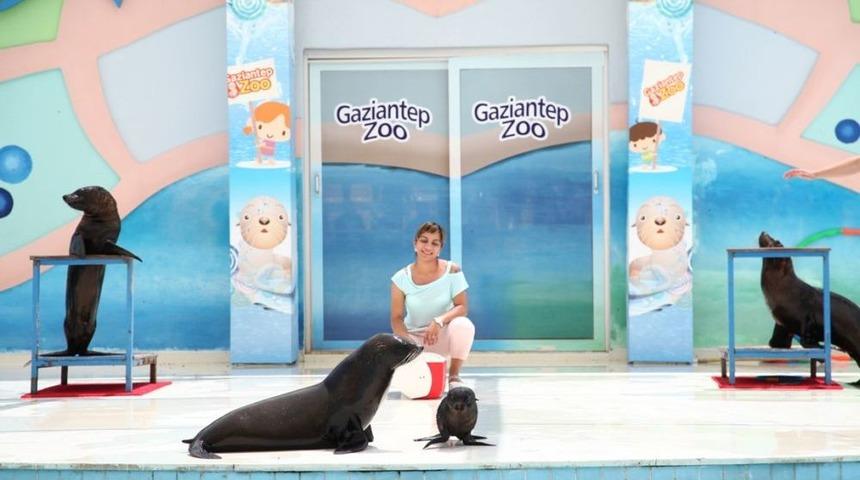 T&uuml;rkiye&rsquo;nin Ilk Yavru Foku Gaziantep&rsquo;te D&uuml;nyaya Geldi