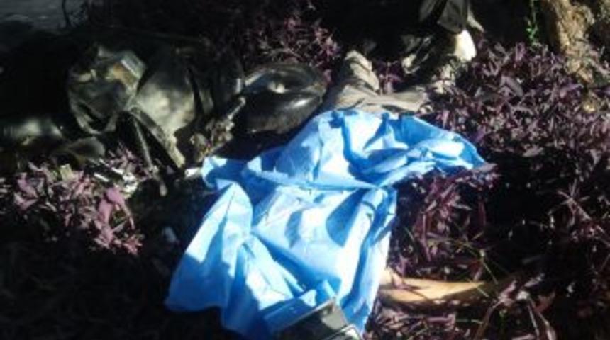 Motosikletle Zeytin Ağacına &Ccedil;arpan Gen&ccedil; Hayatını Kaybetti