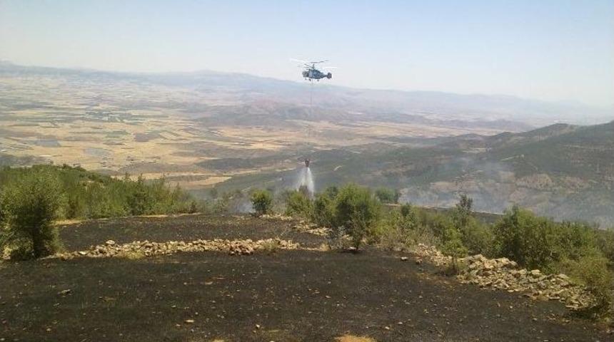 Kahramanmaraş'ta Orman Yangını