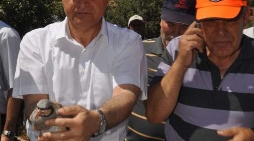 Manisa'da 350 Keklik Doğaya Salındı