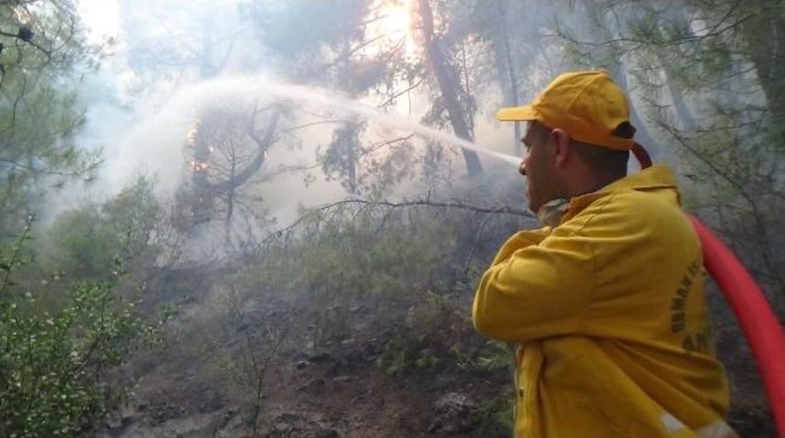 Hatay'da Orman Yangını