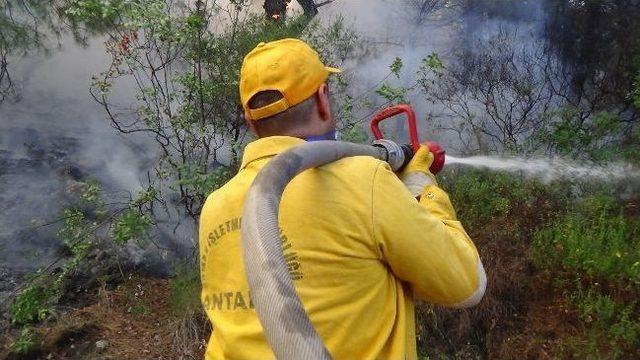 Hatay'da Orman Yangını