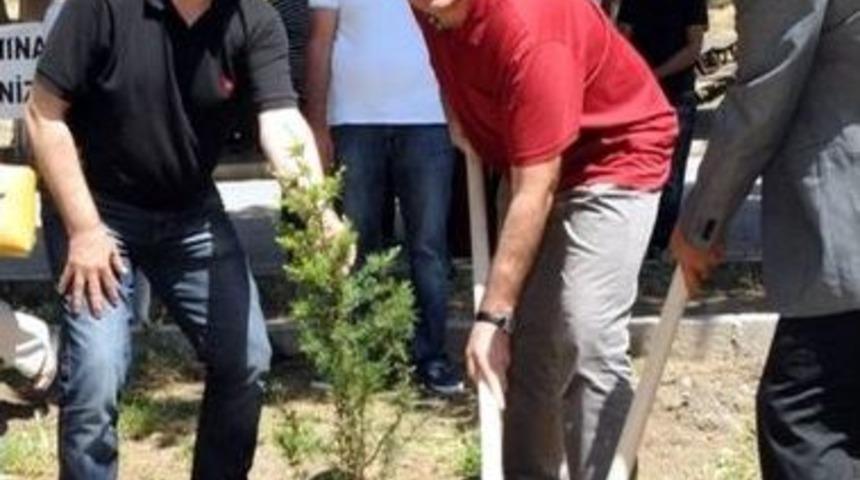 Bandırma'da 2 Bin 500 Fidan Toprakla Buluştu