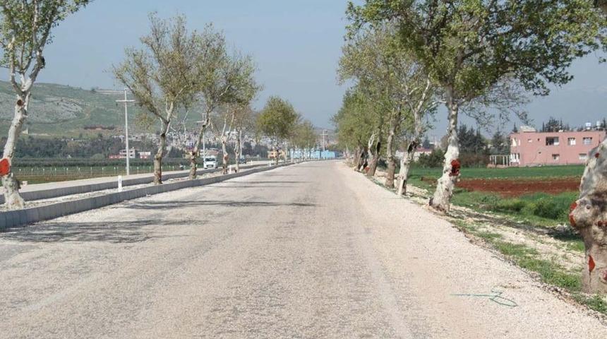 Reyhanlı&rsquo;da 967 &Ccedil;ınar Ağacı Dikildi