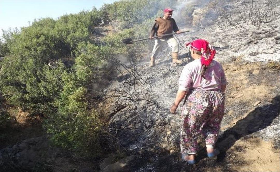 Kula'da Orman Yangını