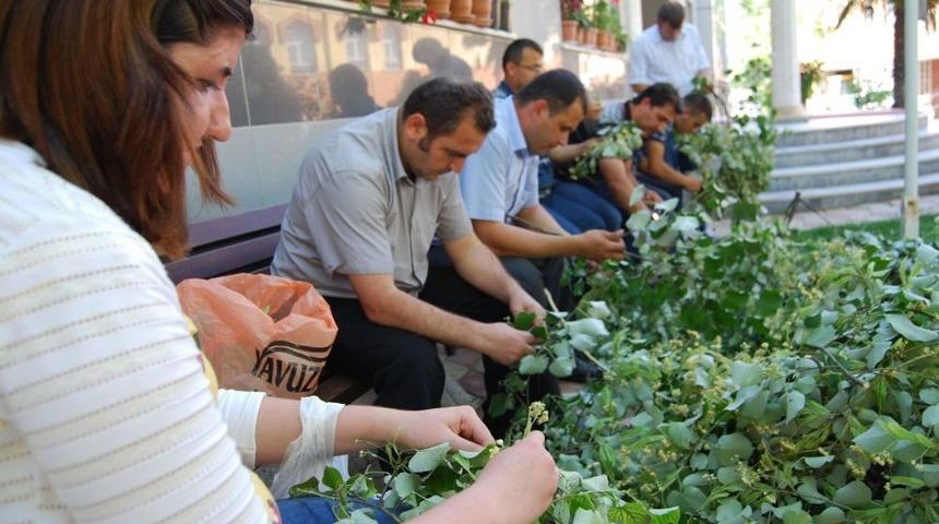 Bu Belediyedeki Gelen Misafirlere Doğal Ihlmur Ve Kekik Ikram Ediliyor