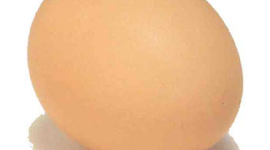 Başçavuşa 4 yumurta hapsi