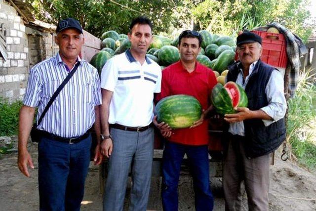 Karpuz Yenipazarlı Çiftçiye Umut Oldu