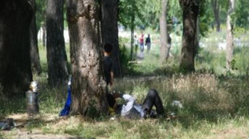 Piknik&ccedil;ilere Kene Uyarısı