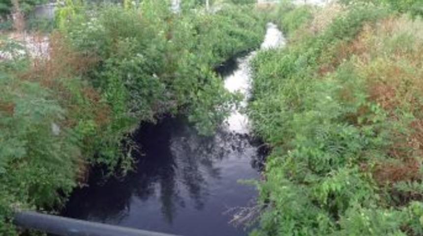 Yeşil Bursa'da &Ccedil;evre Katliamı