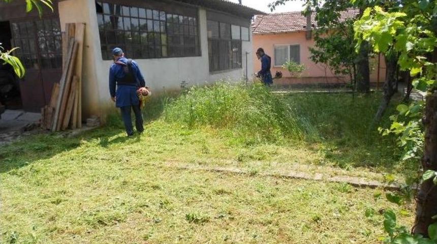 Tırpanda İkinci Tur