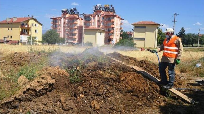 Acıpayam'da Haşre Ile M&uuml;cadele &Ccedil;alışmaları Devam Ediyor