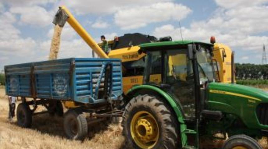 Elbistan Ovası'nda Hasat Heyecanı Yaşanıyor