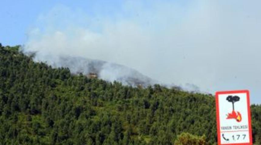 Bakan Eroğlu: Orman Yangınlarının Yüzde 90'ı Insan Kaynaklı, Dikkatli Olalım