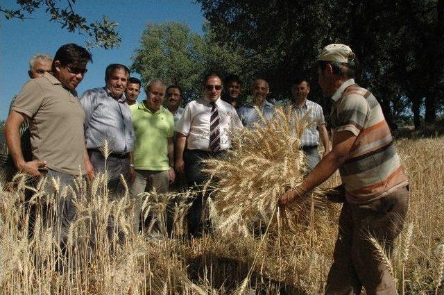 Kaymakam Karaman'dan Orman Yangın Söndürme Ekibine Ziyaret