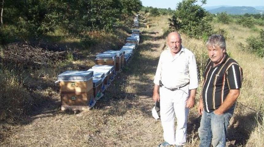 Kazdağları Arıcıların Gelir Kapısı Oldu