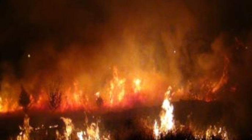 Şehir Merkezindeki Anız Yangını Korkuttu