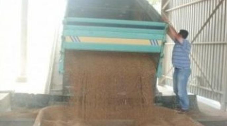 Uzunk&ouml;pr&uuml;&rsquo;de Hububat Alımları Başladı