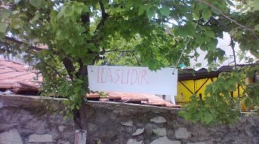 Meyve Ağacını B&ouml;yle Koruyor