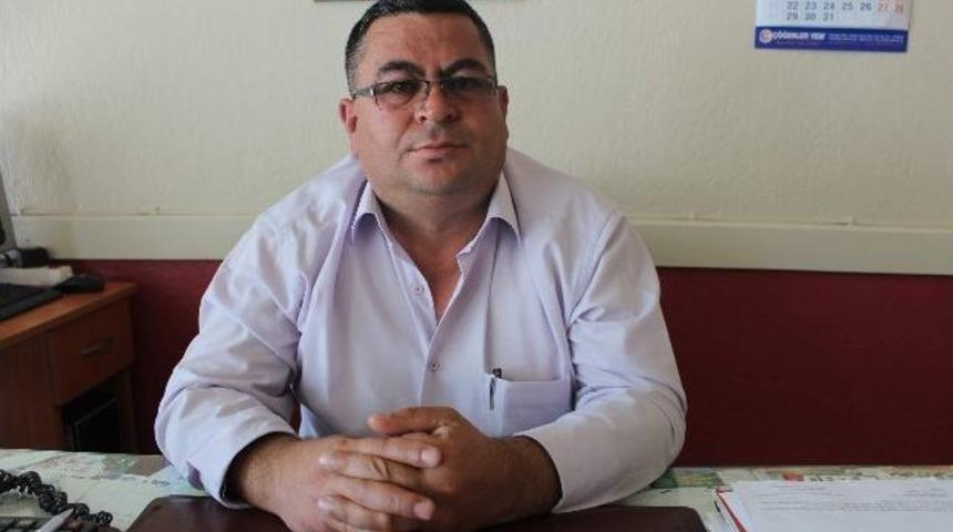 Beyşehirli Balık&ccedil;ıların &Ccedil;in Sazanı Sıkıntısı