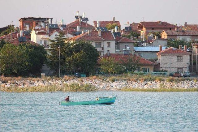 Beyşehirli Balıkçıların Çin Sazanı Sıkıntısı