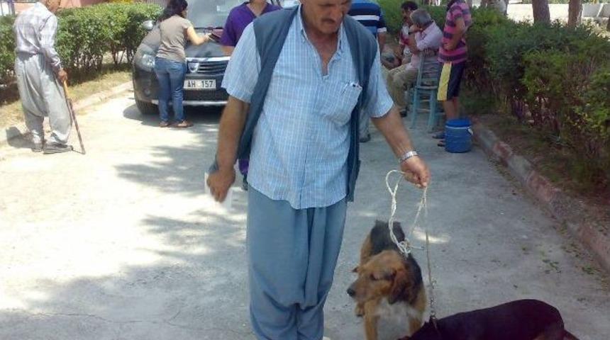 Sahipli K&ouml;peklere Kuduz Aşılaması