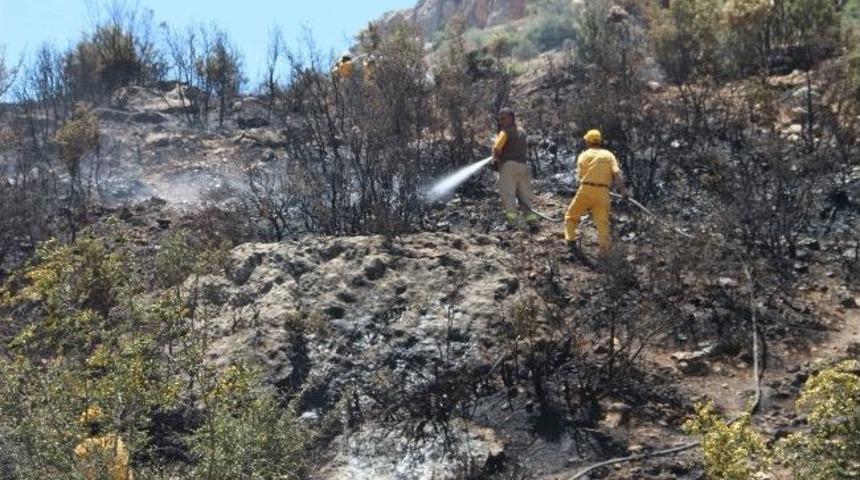 Mut&rsquo;ta Orman Yangını