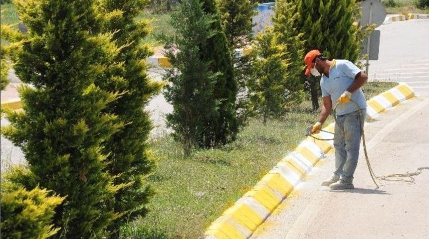 Yayalar Ve S&uuml;r&uuml;c&uuml;ler İ&ccedil;in &Ouml;nemli &Ccedil;alışma