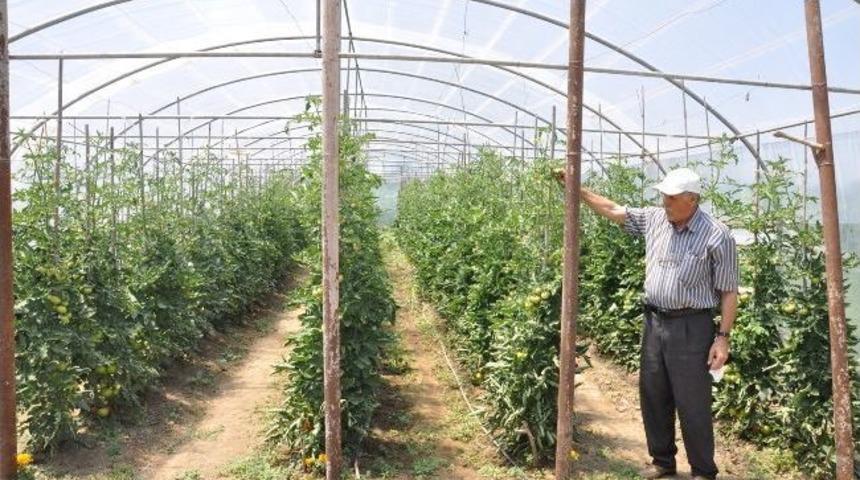 Kulaca Kooperatifi &Ccedil;ift&ccedil;ilere &Ouml;rnek Oluyor