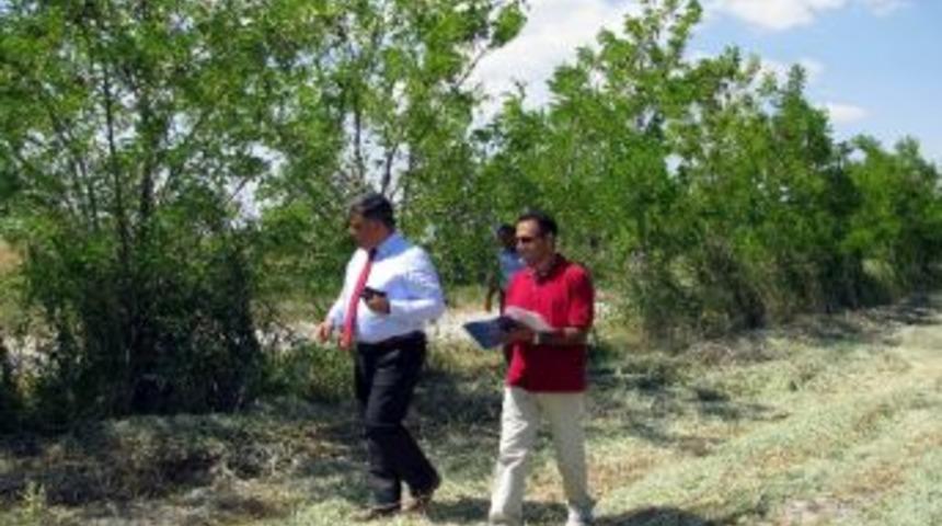 Ereğli&rsquo;de 300 Bin Ağa&ccedil; Toprakla Buluştu