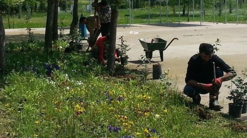 Kartepe'de Kabristanlar Bakıma Alındı