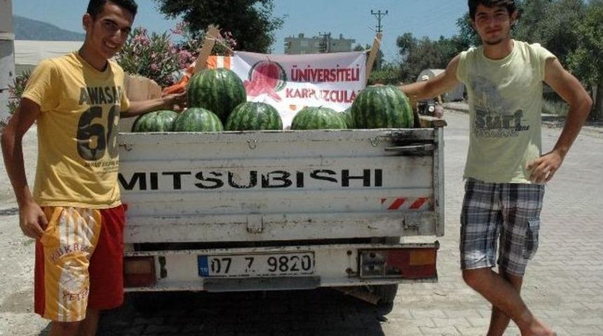 &Uuml;niversiteli Karpuzcular