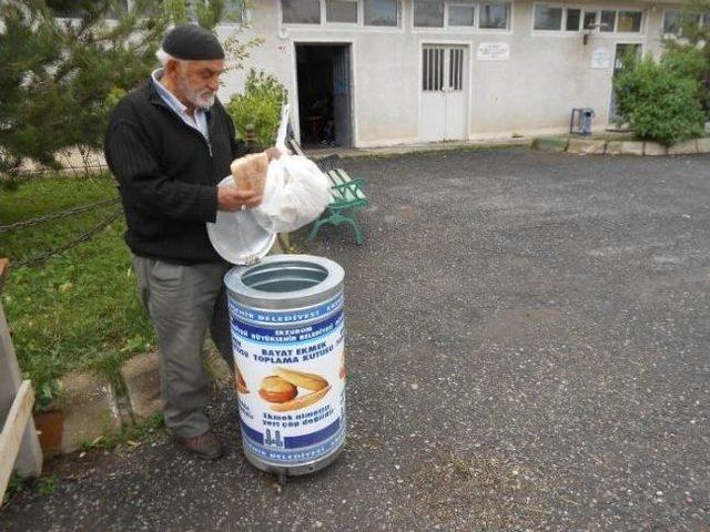 Bayat Ekmek Toplama Kutuları Ekmek İsrafını Önemli Ölçüde Durdurdu