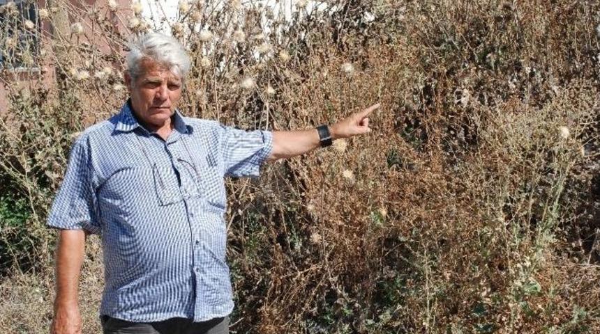 Didim&rsquo;de Muhtardan Kurumuş Ot Tepkisi.