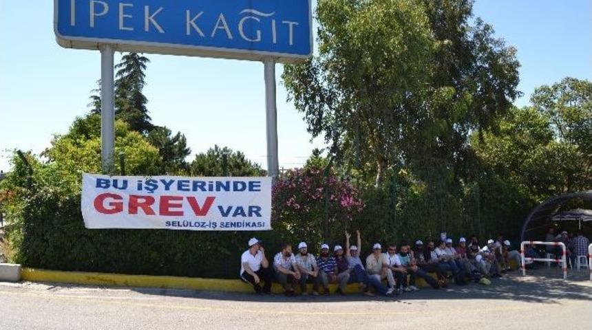 İpek Kağıt İş&ccedil;ileri Grevde