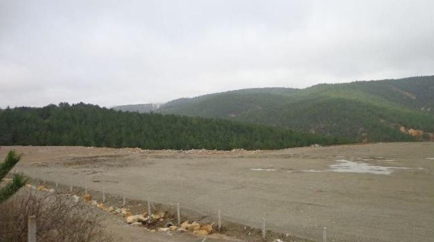 Belediye&rsquo;nin Hayvan Barınağına Onay