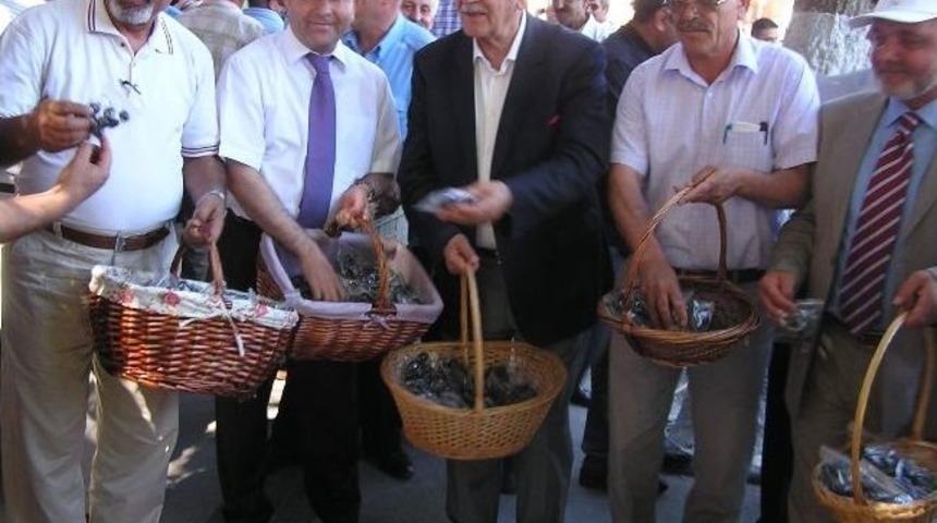 Yeşilyurt Kiraz Şenliği&rsquo;ne Davullu Zurnalı Kirazlı Davet