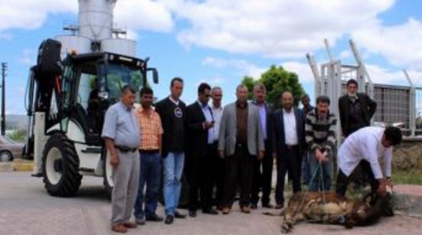 Yıldızeli Ziraat Odası&rsquo;ndan &Ccedil;ift&ccedil;ilere Yeni Kep&ccedil;e