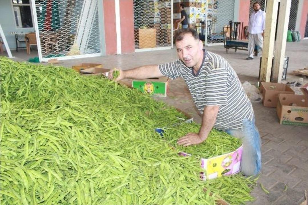 Turfanda Sebzeler Halde Yerini Aldı