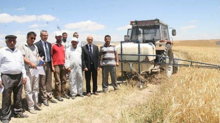 Yozgat&rsquo;ta 93 Bin Dekar Alan S&uuml;neye Karşı İla&ccedil;lanacak