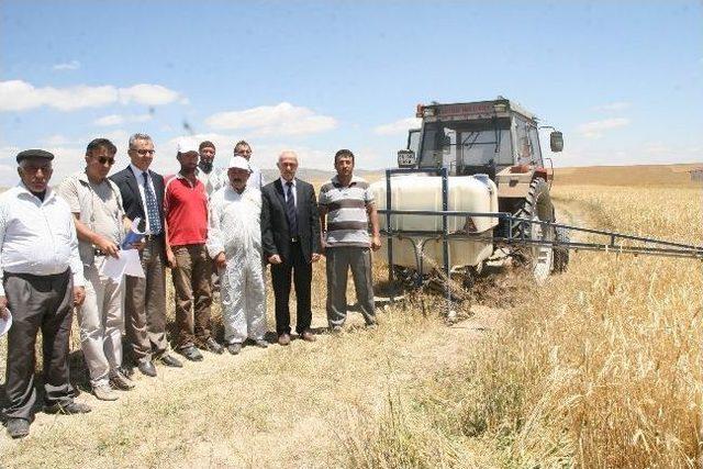 Yozgat’ta 93 Bin Dekar Alan Süneye Karşı İlaçlanacak