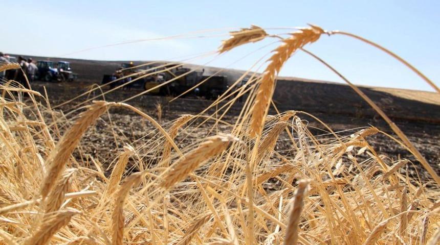 Biçerdöver Yandı, Ekili Arazi Kül Oldu