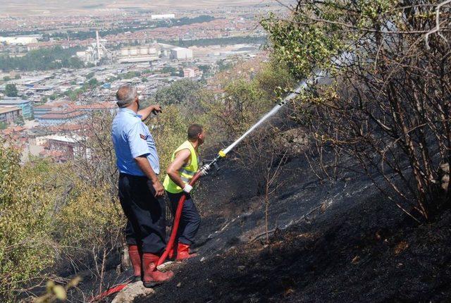 Afyonkarahisar'da Yangın: 10 Dönümlük Dikili Alan Zarar Gördü