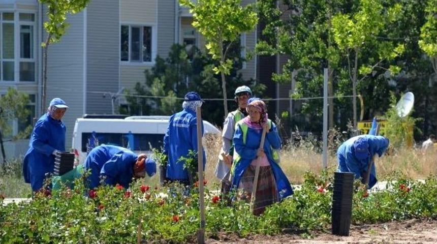 &Ccedil;i&ccedil;ek Anneler İş Başında