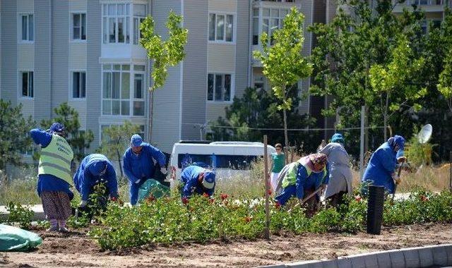 Çiçek Anneler İş Başında